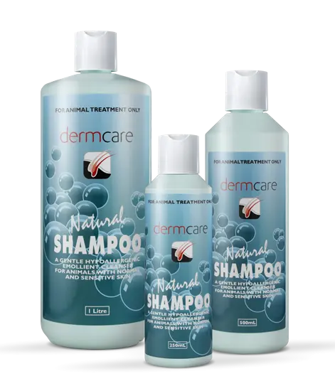 Dermcare – Natural Shampoo - Paws & Palettes