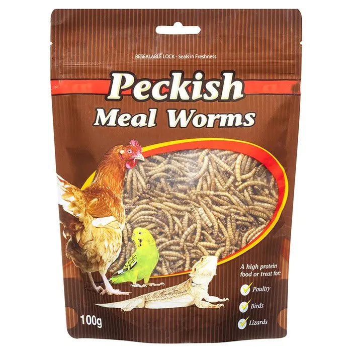 Peckish – Meal Worms - Paws & Palettes