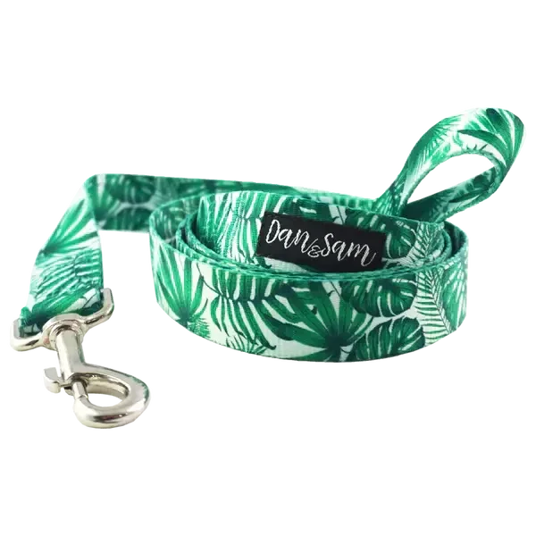 Dan & Sam – Polyester Webbing Lead – Lahana Agline