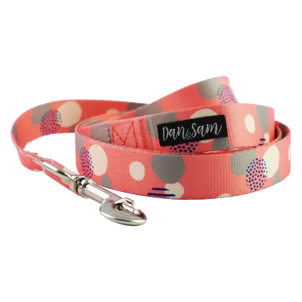 Dan & Sam – Polyester Webbing Lead – Fabulous - Paws & Palettes