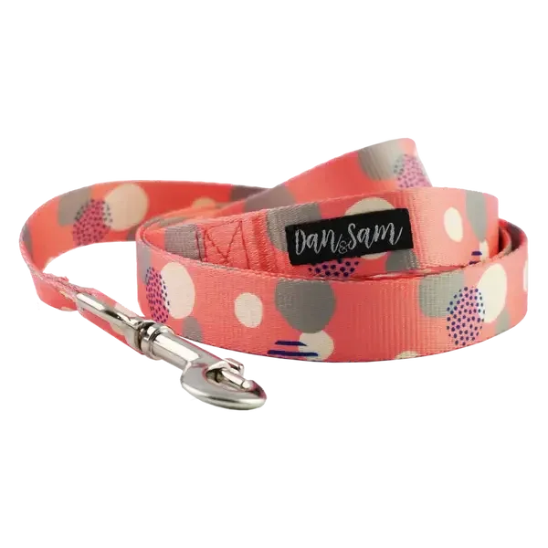 Dan & Sam – Polyester Webbing Lead – Fabulous Agline