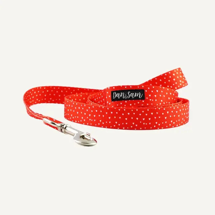 Dan & Sam – Polyester Webbing Lead – Raining Hearts Agline