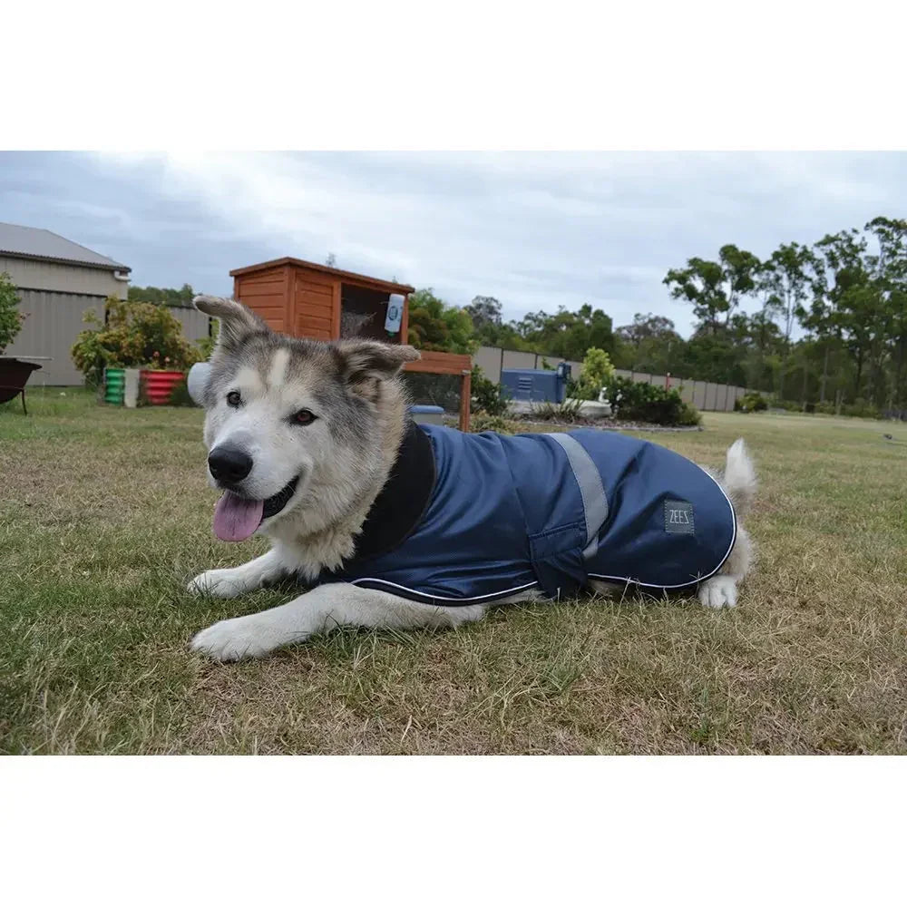 ZeeZ – Waterproof Dapper Dog Coat – Old Navy Agline