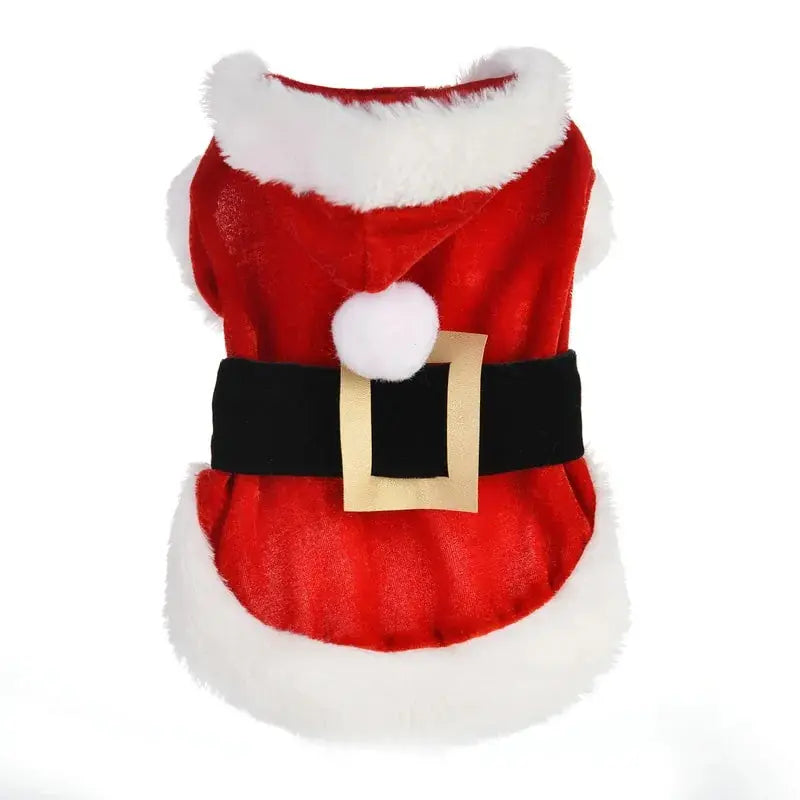 Santa Pet Outfit - Paws & Palettes