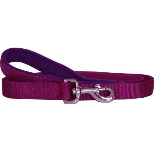 Beau Pets – Neoprene Handle – Nylon Lead – Purple Agline
