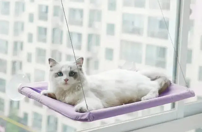 Pet Window Hammock - Paws & Palettes