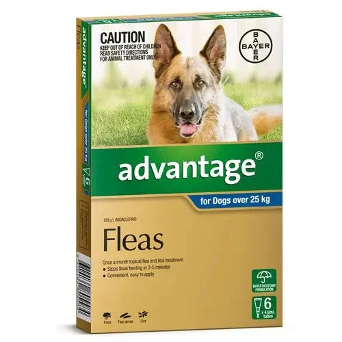 Advantage – Fleas – Dogs over 25kg Agline