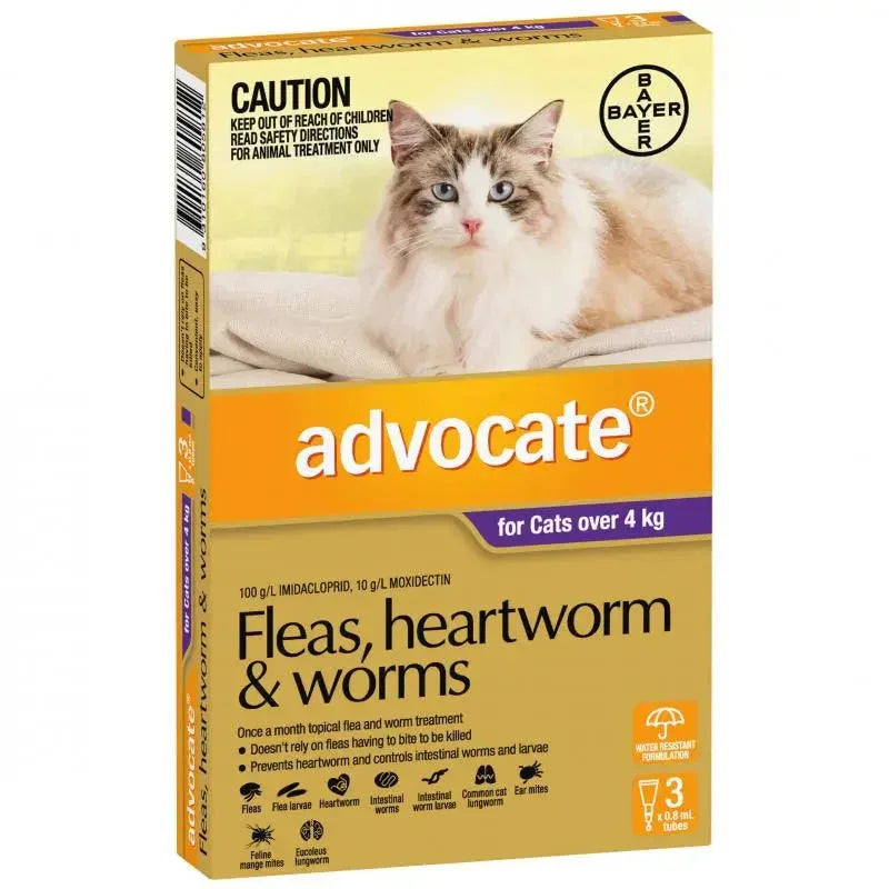 Advocate – Fleas, Heartworm & Worms – Cats over 4kg Agline