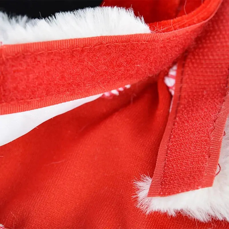 Santa Pet Outfit - Paws & Palettes