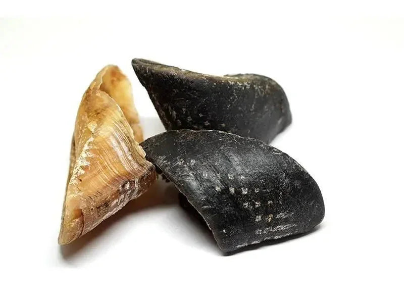 Beef Hoofs Agline