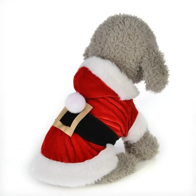 Santa Pet Outfit - Paws & Palettes