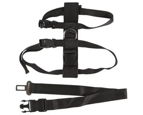 Beau Pets – Car Harness - Paws & Palettes