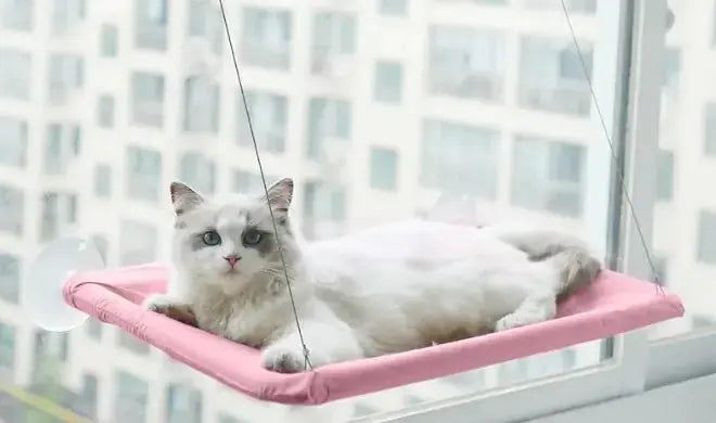 Pet Window Hammock - Paws & Palettes