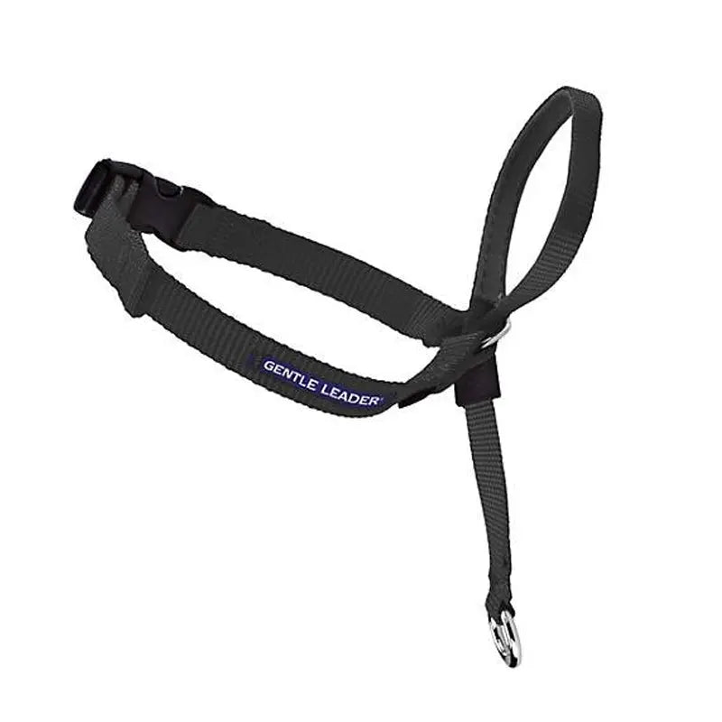 Beau Pets – Gentle Leader – Headcollar – Black - Paws & Palettes