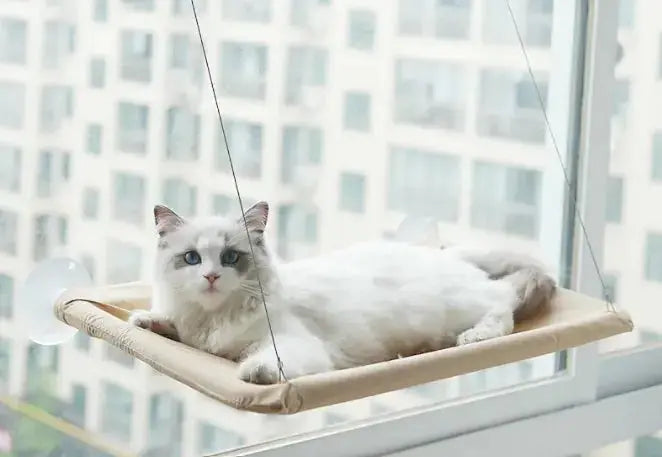 Pet Window Hammock - Paws & Palettes