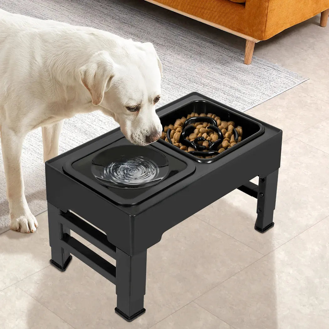 PaWz Elevated Pet Feeder 4 Height Adjustable - Paws & Palettes