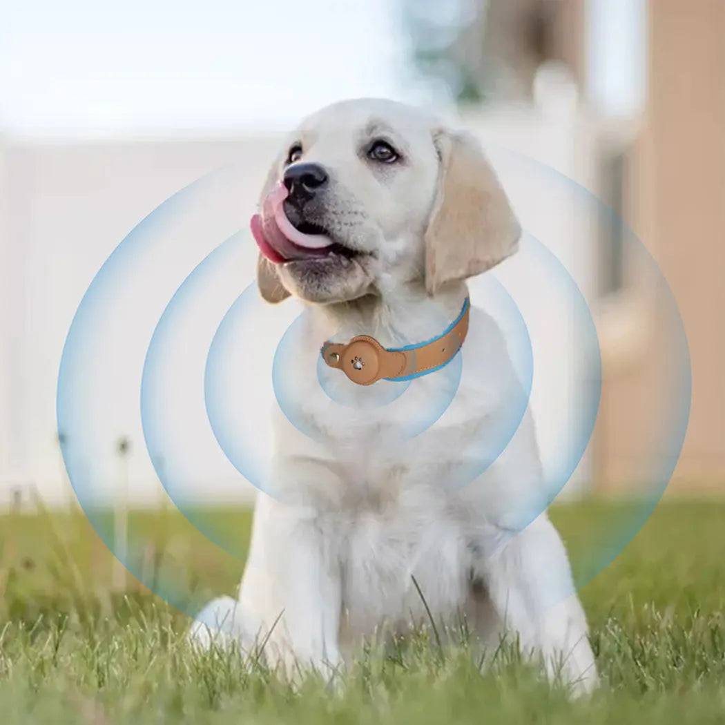 PaWz Bluetooth Pet Tracker Collar Anti-lost - Paws & Palettes