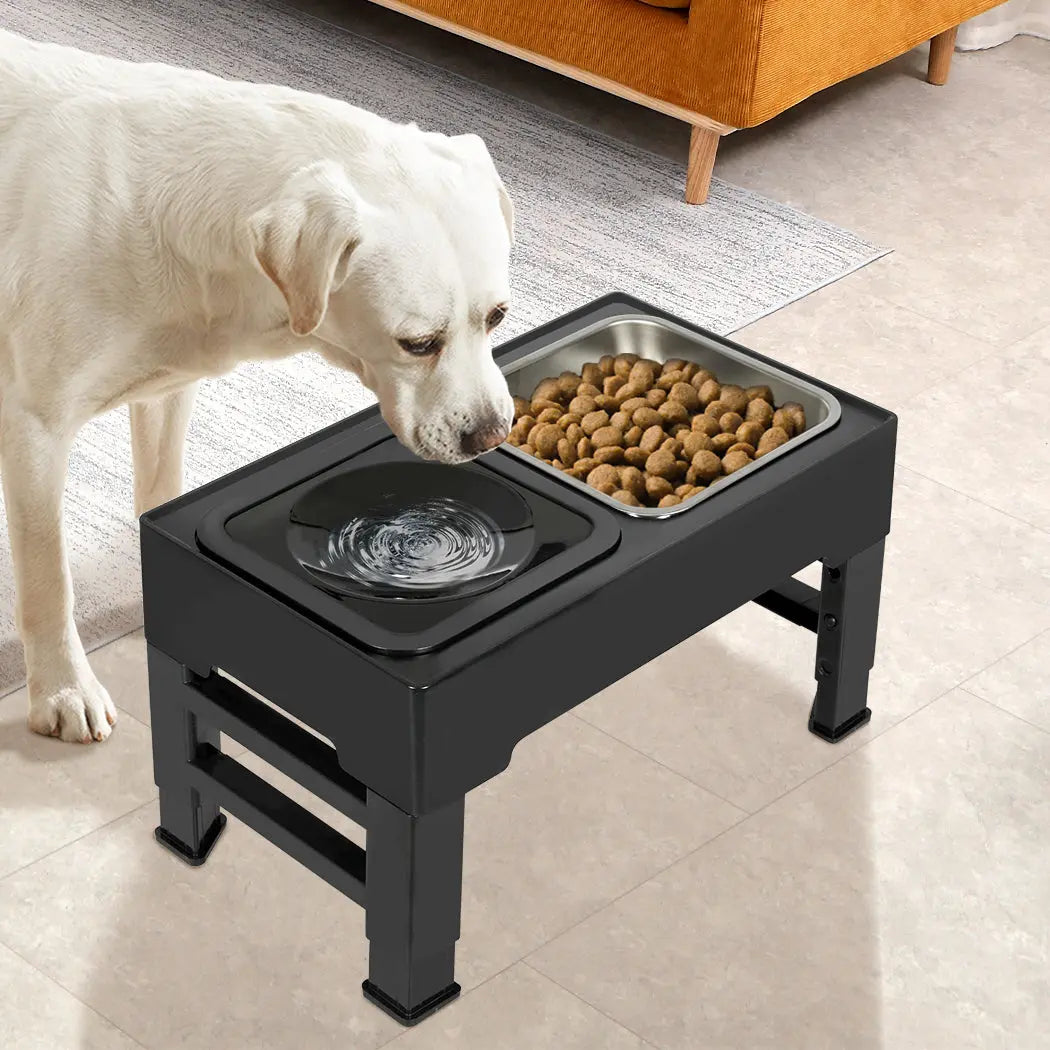 PaWz Elevated Pet Feeder 4 Height Adjustable - Paws & Palettes
