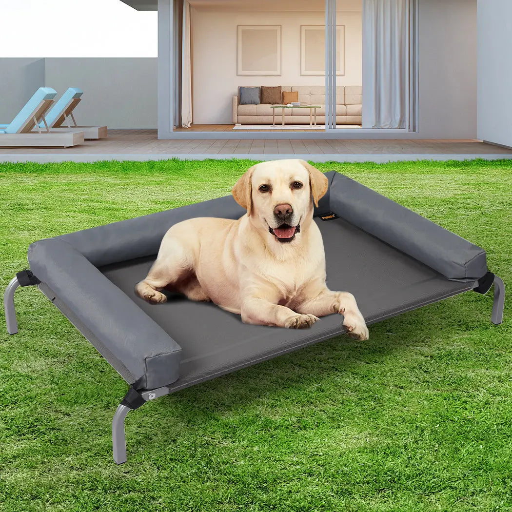 PaWz Elevated Pet Bed Dog Puppy Cat M Medium - Paws & Palettes
