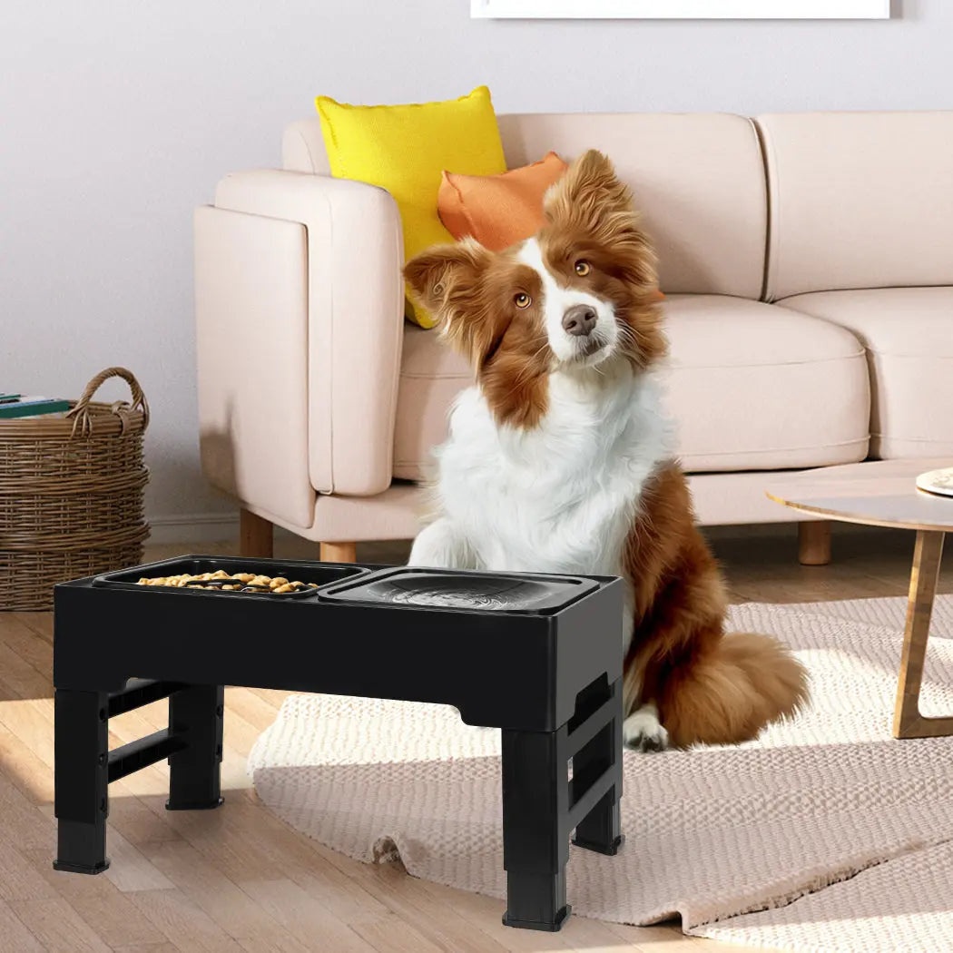 PaWz Elevated Pet Feeder 4 Height Adjustable - Paws & Palettes