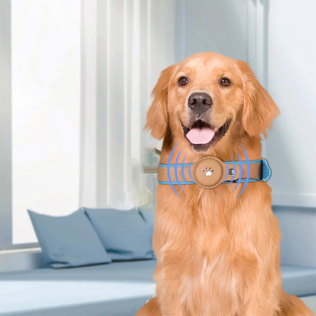 PaWz Bluetooth Pet Tracker Collar Anti-lost - Paws & Palettes