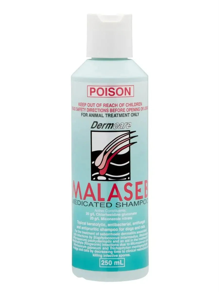Dermcare – Malaseb – Medicated Shampoo Agline