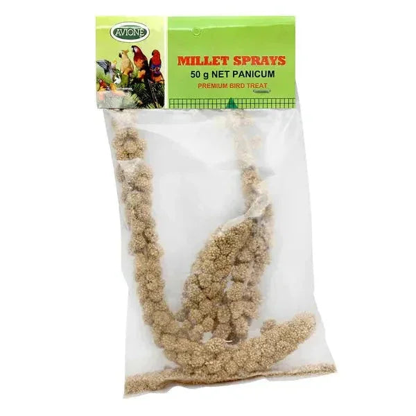 Avi One – Millet Sprays – Panicum Agline