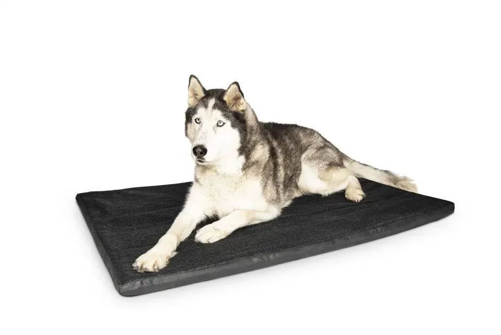 Superior Pet – Dog Mat – Original Flea-Free Agline