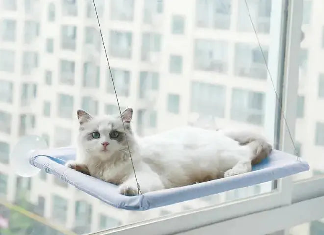 Pet Window Hammock - Paws & Palettes