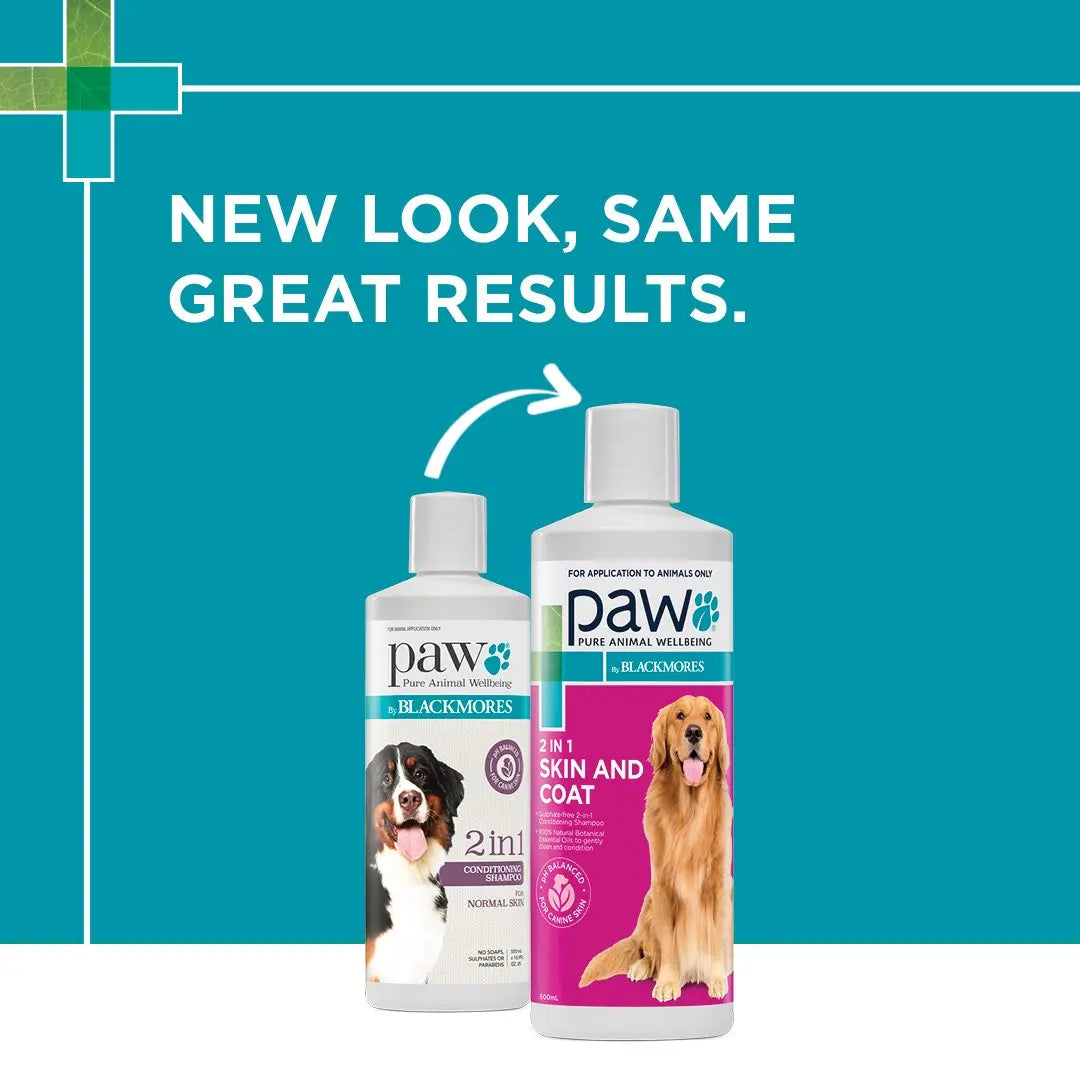 Blackmores: Paw – 2 in 1 Conditioning Shampoo - Paws & Palettes