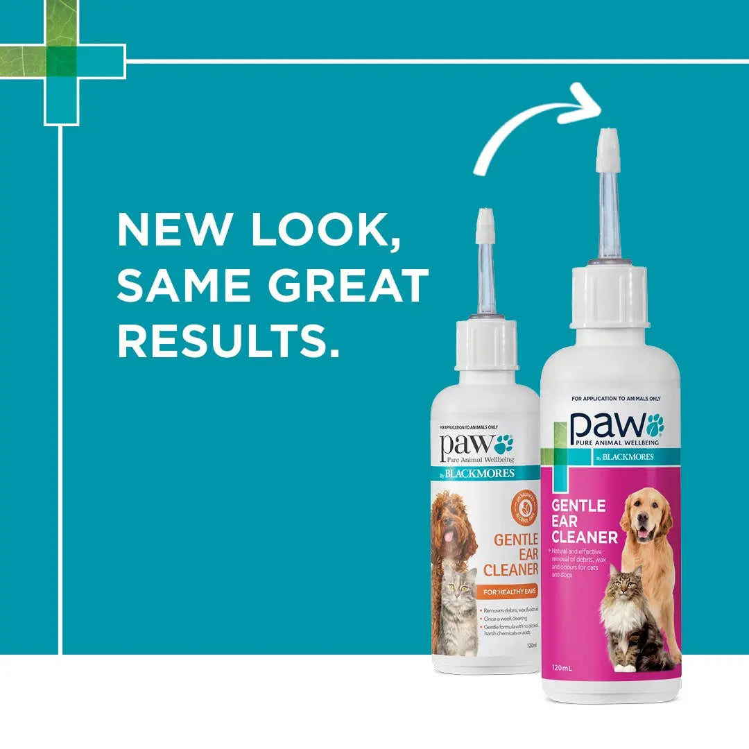 Blackmores: Paw – Gentle Ear Cleaner - Paws & Palettes