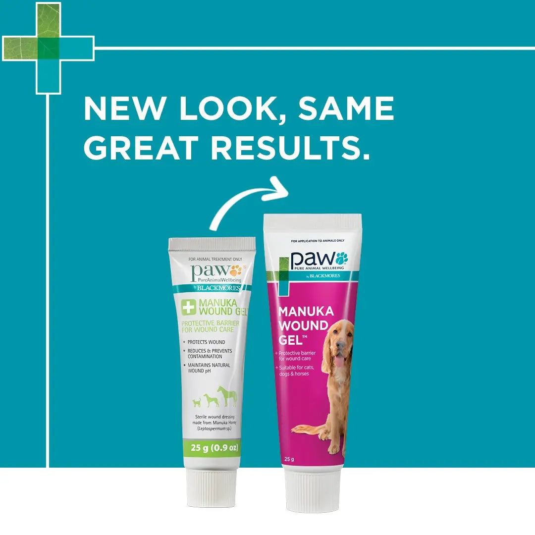 Blackmores: Paw – Manuka Wound Gel - Paws & Palettes