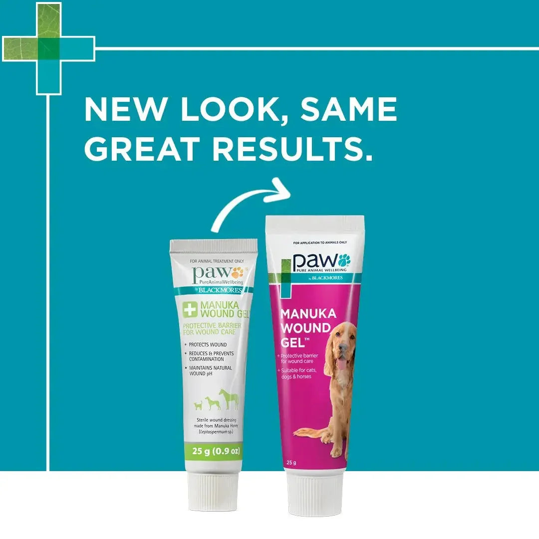 Blackmores: Paw – Manuka Wound Gel Agline
