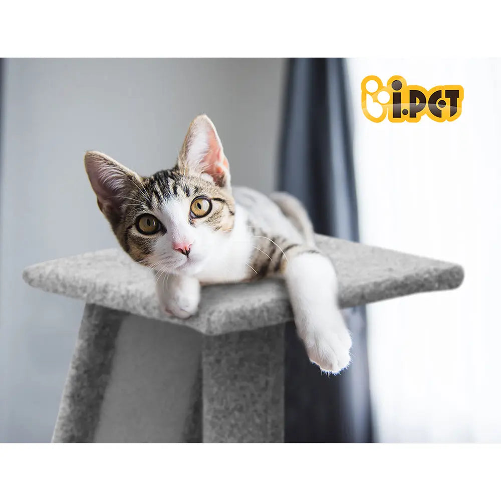 i.Pet Cat Tree 82cm Scratching Post Tower Scratcher Condo Trees Climb House - Paws & Palettes
