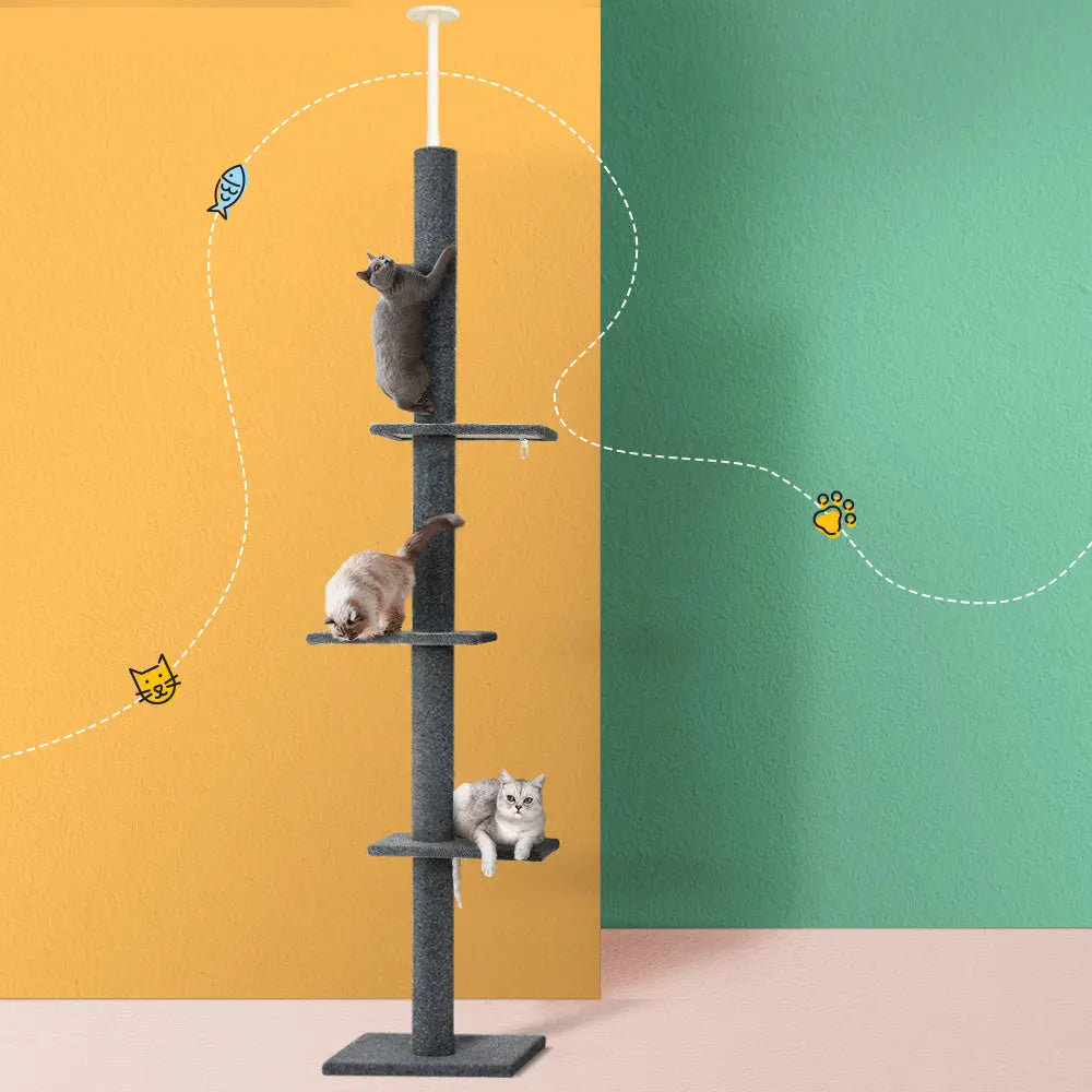 i.Pet Cat Tree 290cm Tower Scratching Post Scratcher Floor to Ceiling Cats Bed Grey - Paws & Palettes