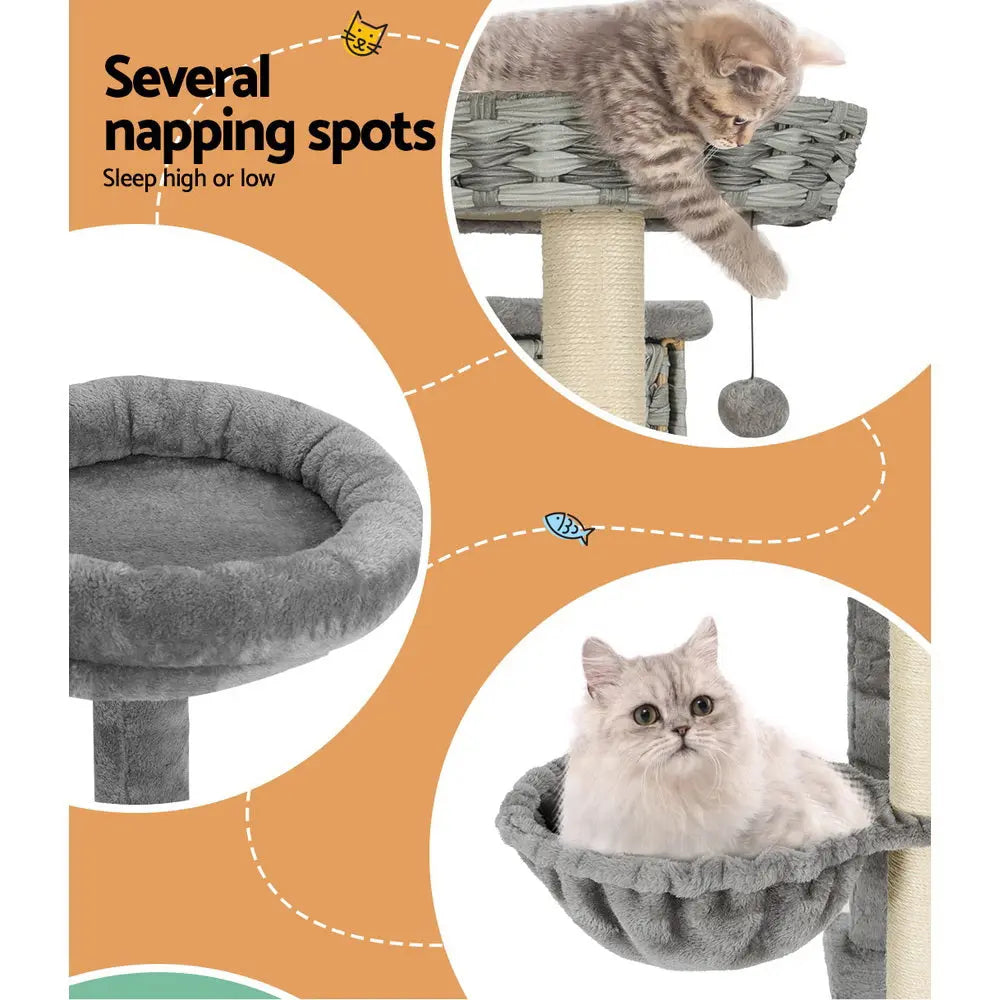 i.Pet Cat Tree 169cm Tower Scratching Post Scratcher Wood Bed Condo House Rattan Ladder - Paws & Palettes