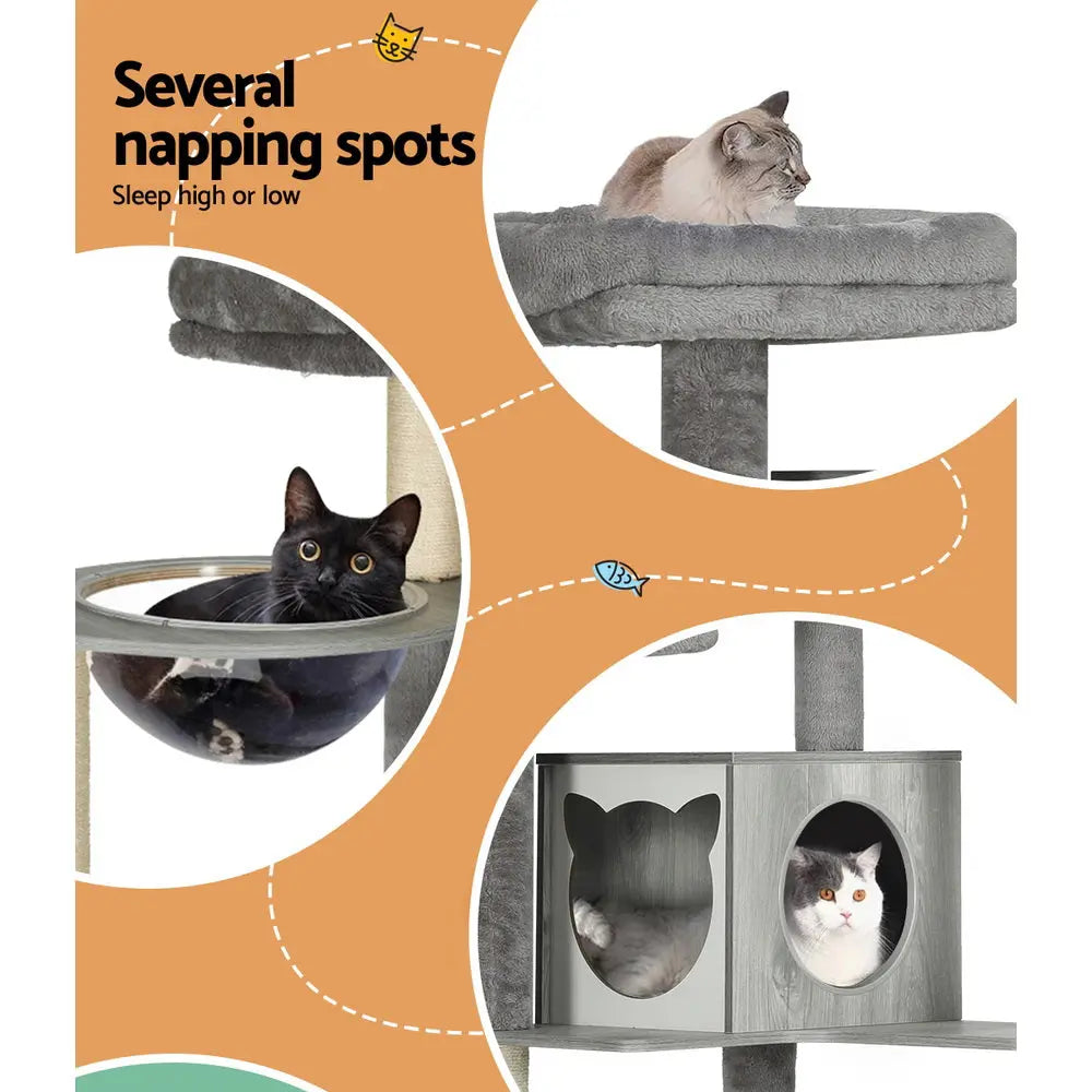 i.Pet Cat Tree 178cm Tower Scratching Post Scratcher Wood Bed Condo House Wooden Ladder - Paws & Palettes