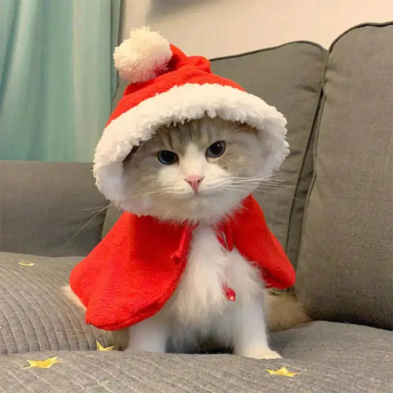 Festive Fur Holiday Attire - Paws & Palettes
