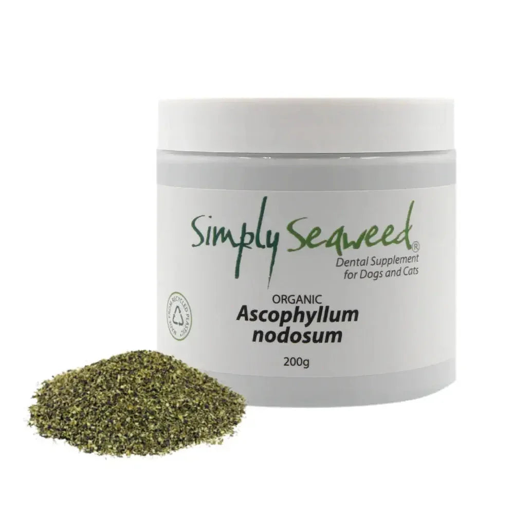Simply Seaweed – Dental Supplement Agline
