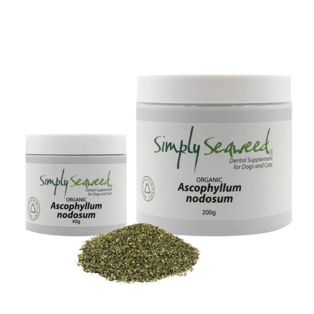 Simply Seaweed – Dental Supplement - Paws & Palettes