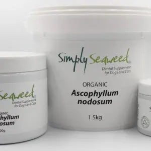 Simply Seaweed – Dental Supplement - Paws & Palettes
