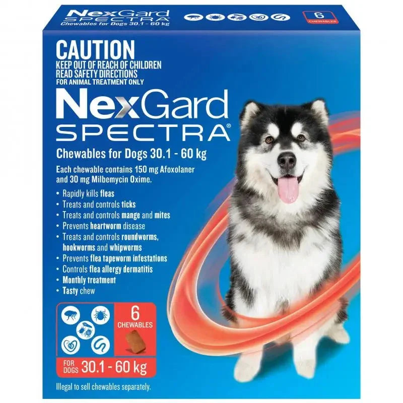 NexGard SPECTRA – Chewables for Dogs Agline