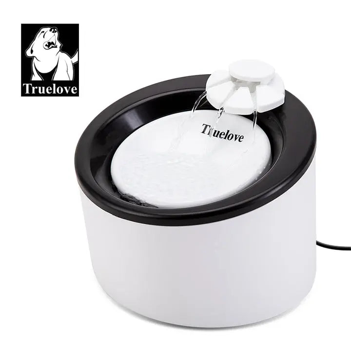 PaWz Elevated Pet Feeder 4 Height Adjustable - Paws & Palettes