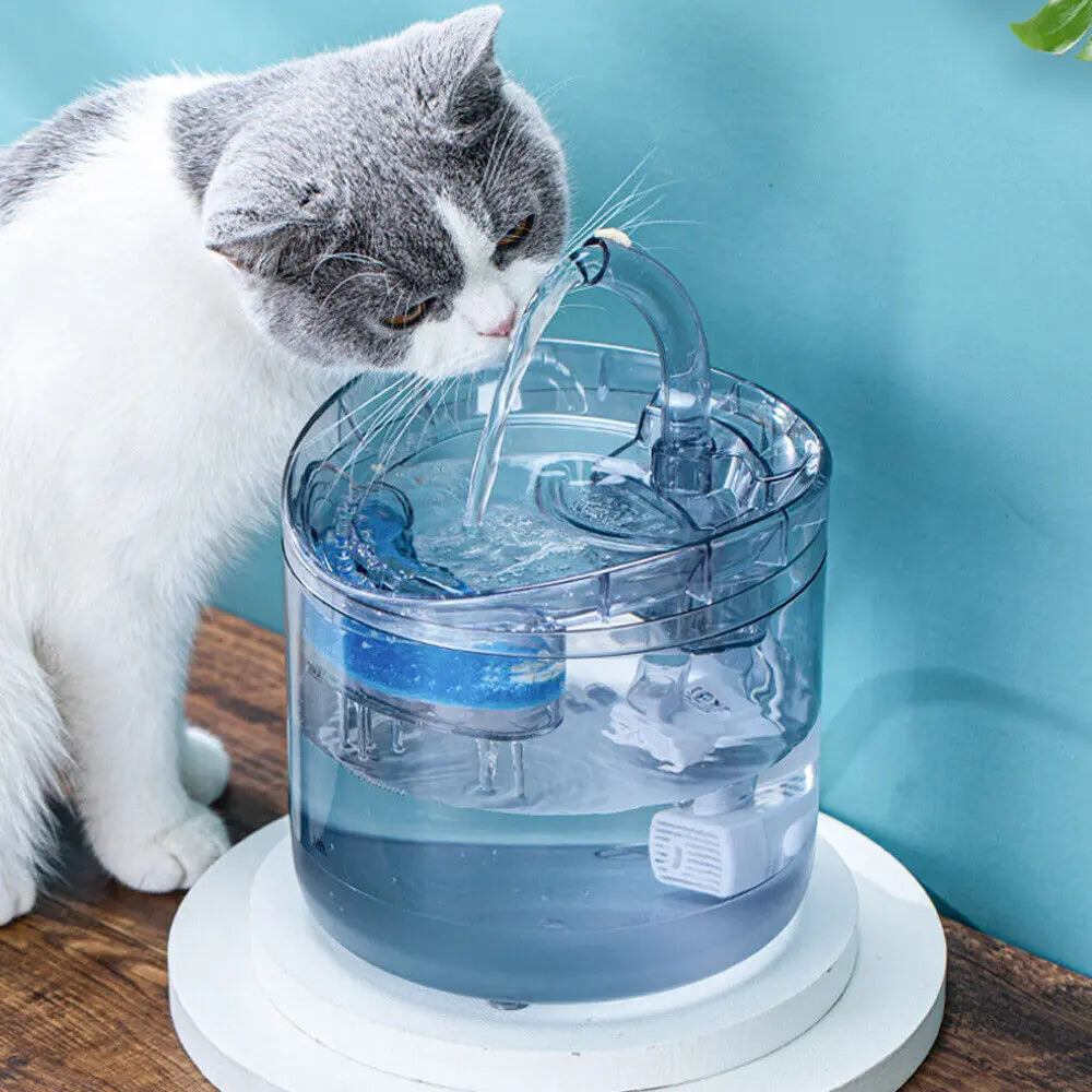 Electric Pet Water Fountain Cat Dog Automatic Sensor Drinking Dispenser Filter - Paws & Palettes