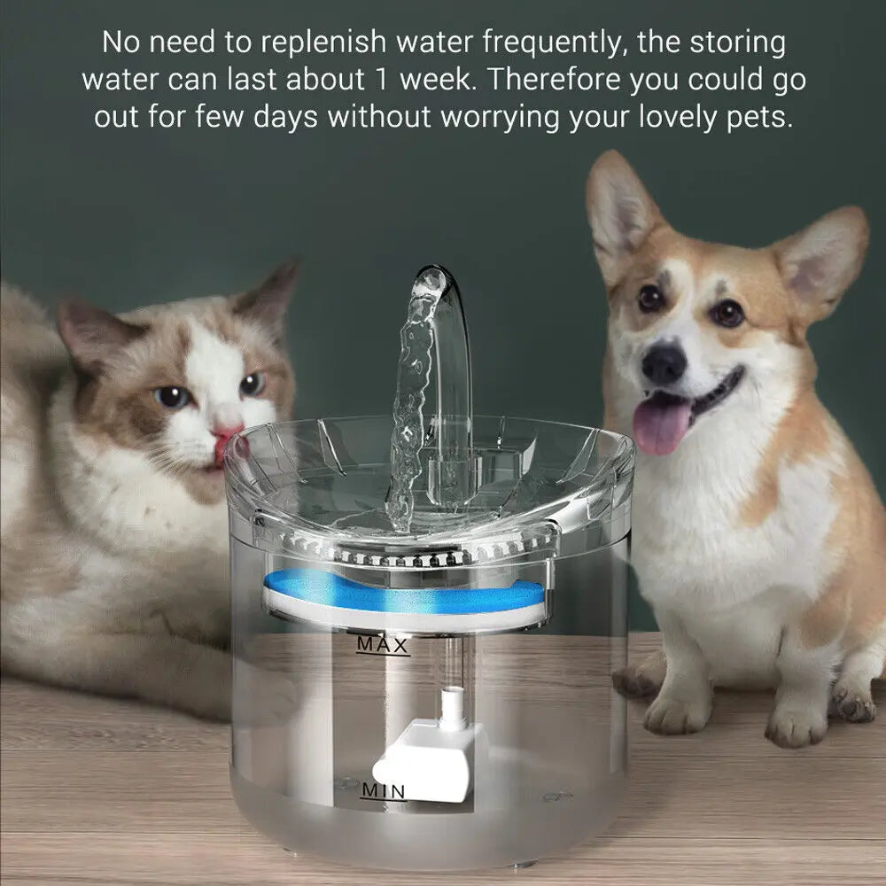 8PCS Filter Electric Pet Water Fountain Automatic Sensor Drinking Dispenser Filter - Paws & Palettes