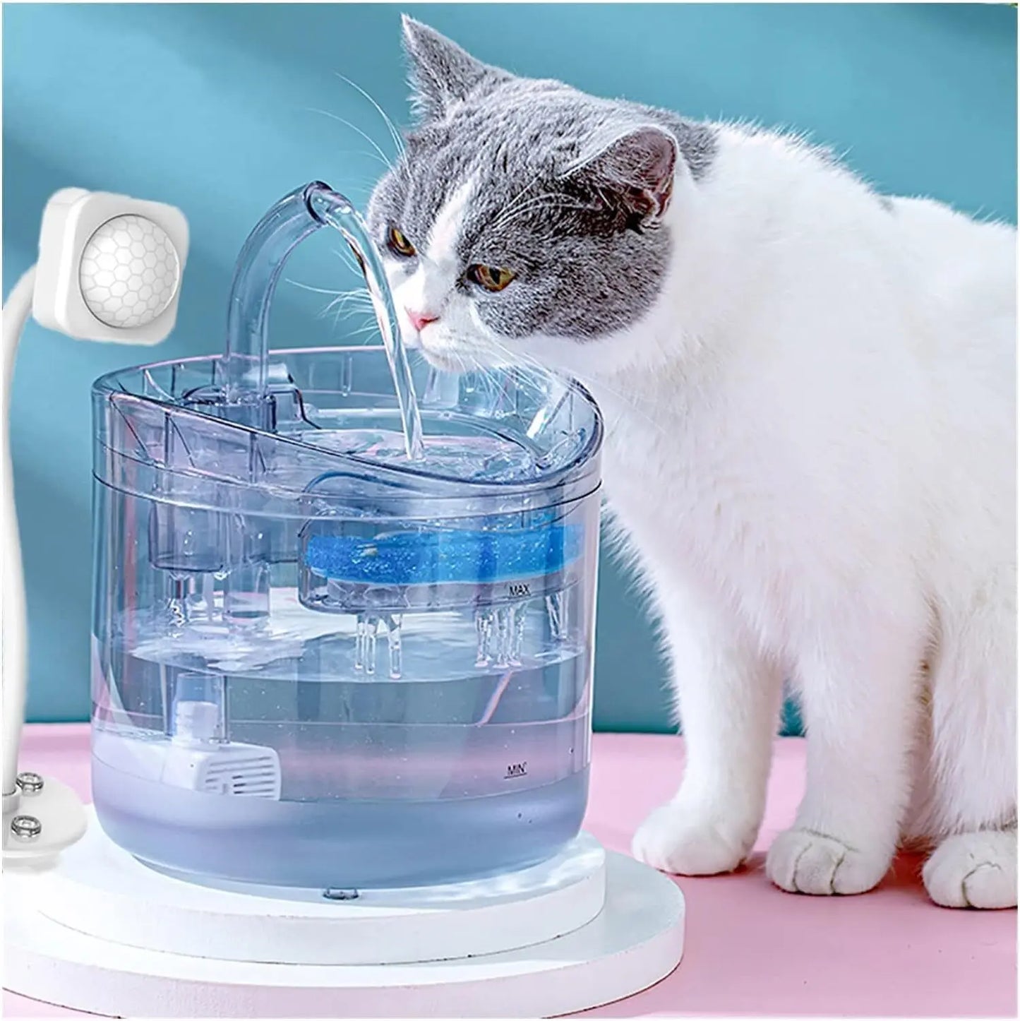 8PCS Filter Electric Pet Water Fountain Automatic Sensor Drinking Dispenser Filter - Paws & Palettes