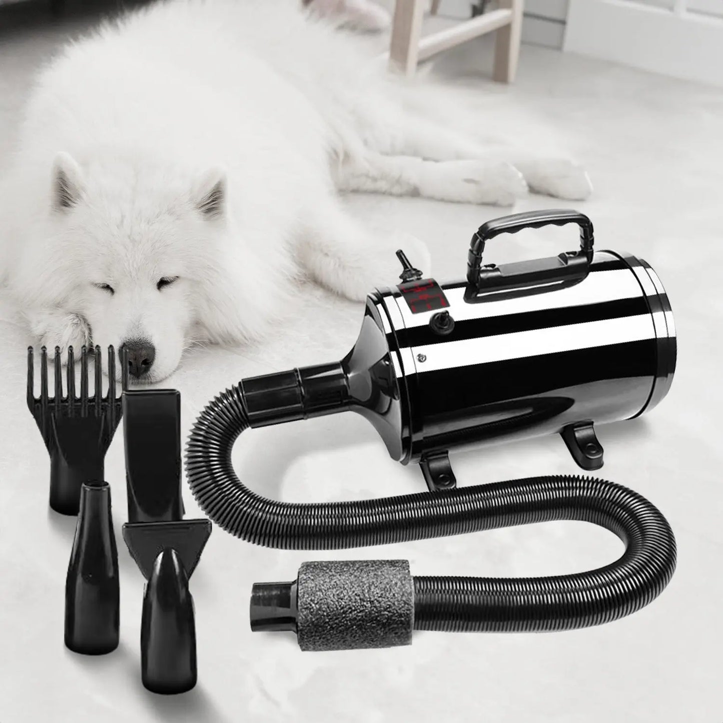 Floofi Pet Hair Dryer Basic (Black) - Paws & Palettes