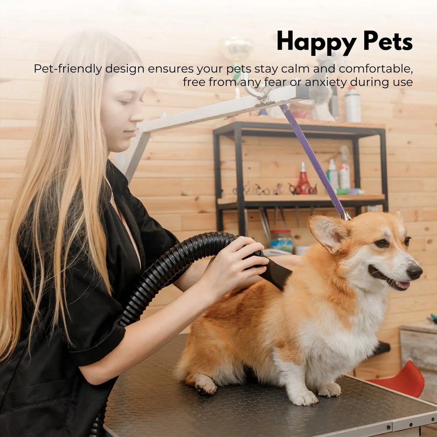 Floofi Pet Hair Dryer Basic (Black) - Paws & Palettes