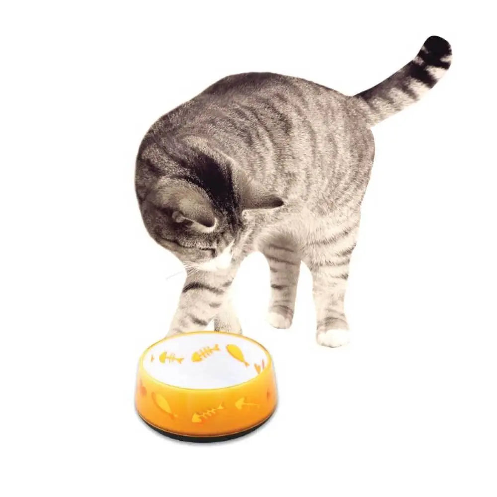 300ml Cat Bowl Orange Love - AFP Kitten Pet Food Water Feeding Anti Slip Dish - Paws & Palettes