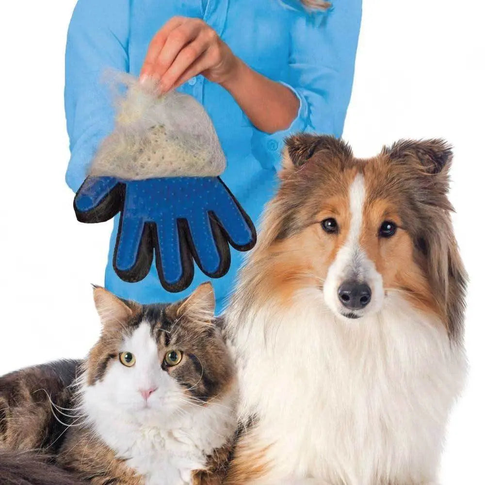 2in1 Pet Deshedding and Massage Glove - Dog or Cat Hair Grooming Right Hand Mitt - Paws & Palettes